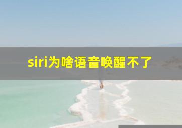 siri为啥语音唤醒不了