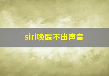 siri唤醒不出声音