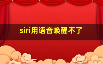 siri用语音唤醒不了