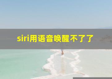 siri用语音唤醒不了了