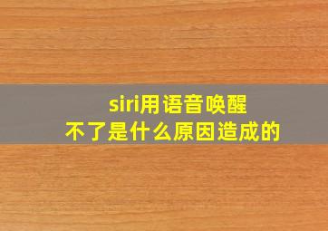 siri用语音唤醒不了是什么原因造成的