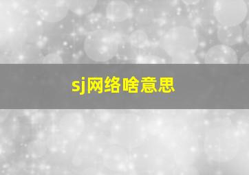 sj网络啥意思