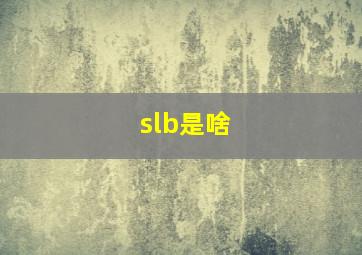 slb是啥