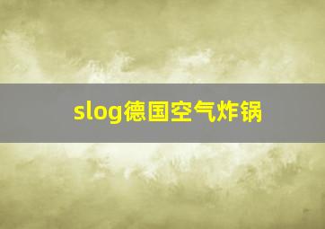 slog德国空气炸锅