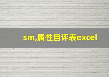 sm,属性自评表excel