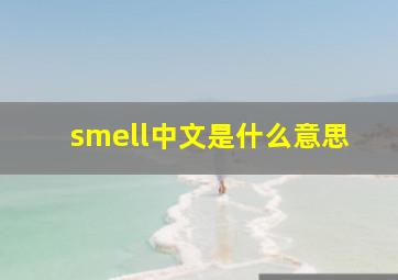 smell中文是什么意思