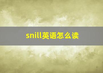 snill英语怎么读