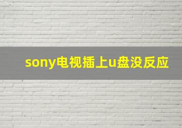 sony电视插上u盘没反应