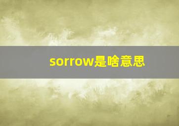 sorrow是啥意思