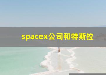 spacex公司和特斯拉