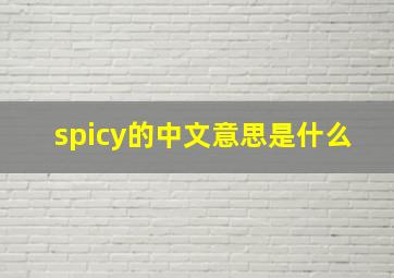 spicy的中文意思是什么