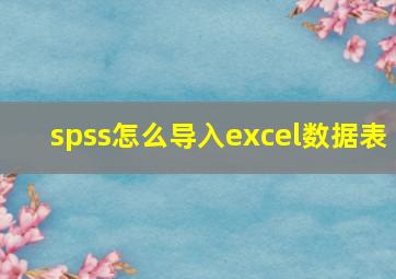 spss怎么导入excel数据表