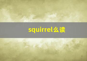 squirrel么读