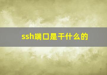 ssh端口是干什么的