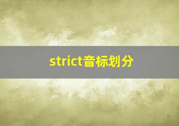 strict音标划分