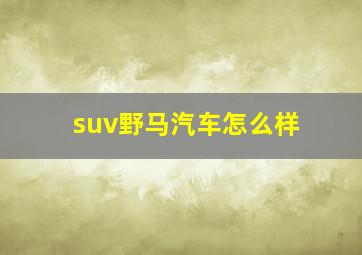 suv野马汽车怎么样