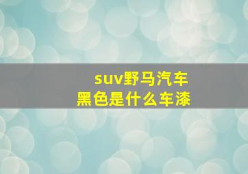 suv野马汽车黑色是什么车漆