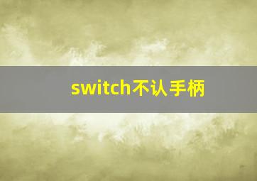 switch不认手柄