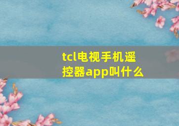 tcl电视手机遥控器app叫什么