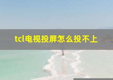 tcl电视投屏怎么投不上