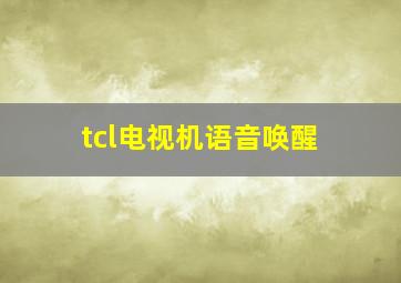 tcl电视机语音唤醒