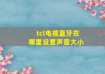 tcl电视蓝牙在哪里设置声音大小