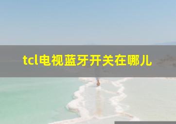 tcl电视蓝牙开关在哪儿