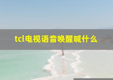 tcl电视语音唤醒喊什么