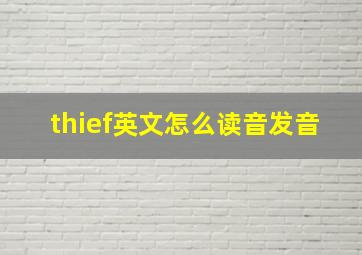 thief英文怎么读音发音