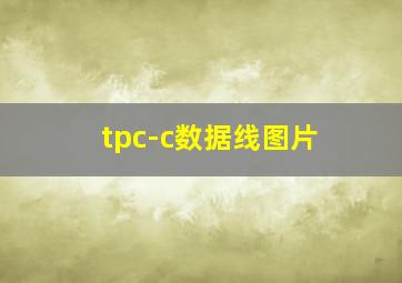 tpc-c数据线图片