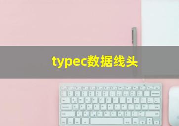 typec数据线头