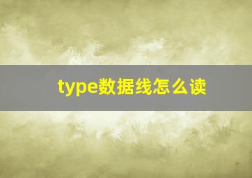 type数据线怎么读