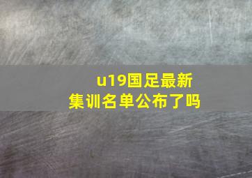 u19国足最新集训名单公布了吗