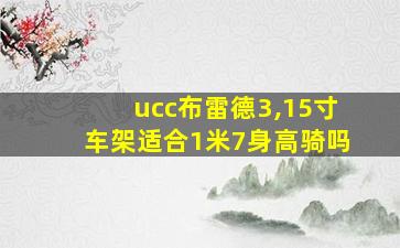 ucc布雷德3,15寸车架适合1米7身高骑吗