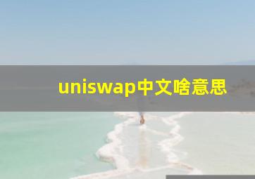 uniswap中文啥意思