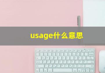 usage什么意思