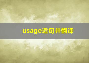 usage造句并翻译