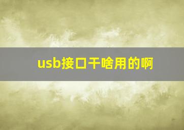 usb接口干啥用的啊