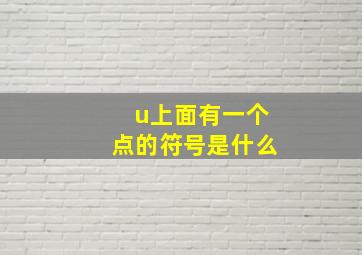 u上面有一个点的符号是什么