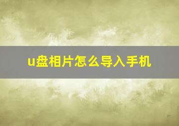 u盘相片怎么导入手机