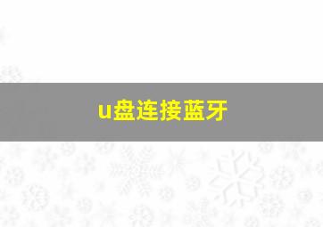 u盘连接蓝牙