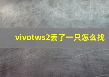 vivotws2丢了一只怎么找