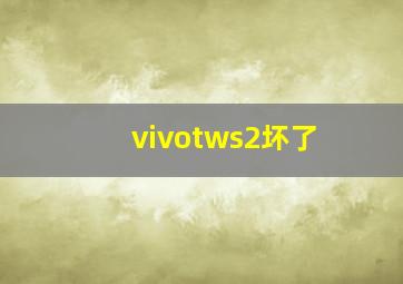 vivotws2坏了