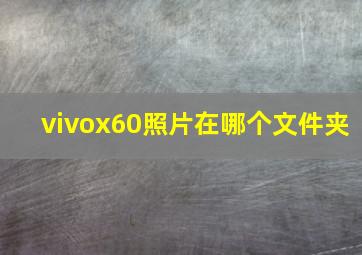 vivox60照片在哪个文件夹