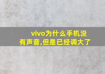 vivo为什么手机没有声音,但是已经调大了