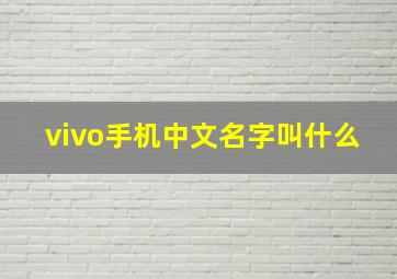 vivo手机中文名字叫什么