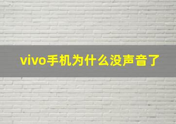 vivo手机为什么没声音了