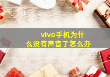 vivo手机为什么没有声音了怎么办