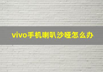 vivo手机喇叭沙哑怎么办