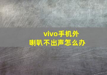 vivo手机外喇叭不出声怎么办